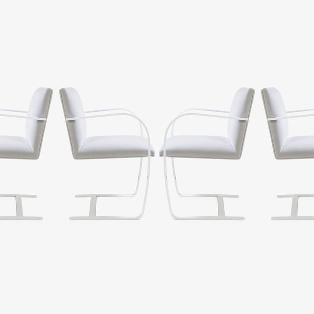 Ludwig Mies van der Rohe Brno Flat-Bar Chairs in Dove Velvet, Lunar Gloss Frame For Sale - Image 4 of 10