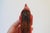 Vintage Hand Carved Wood Folk Art Figurines S/6 For Sale - Image 10 of 14