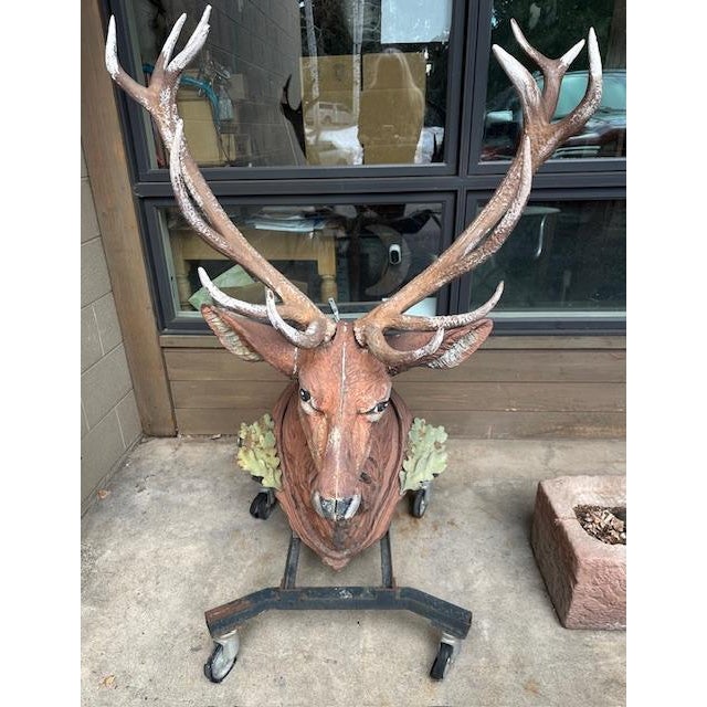 Antique Black Forest Stag Deer Head Caset Iron For Sale - Image 10 of 10