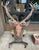 Antique Black Forest Stag Deer Head Caset Iron For Sale - Image 10 of 10