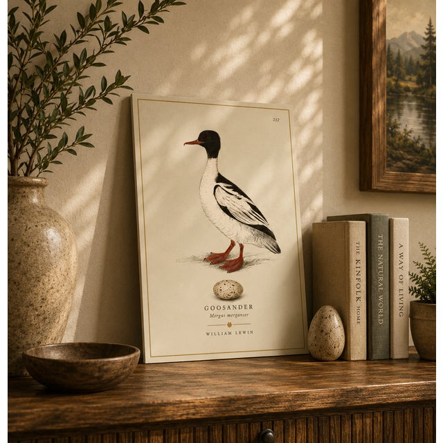 THE WILLIAM LEWIN WATERBIRDS & WADERS COLLECTION "The Goosander" Introduce a striking anchor of historical British...