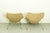 Vintage Oyster Chairs by Pierre Paulin for Artifort, 1960s, Set of 2 For Sale - Image 12 of 16