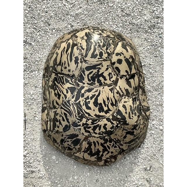 Sculpture Materials Vintage Boho Artisanal Pigmented Plaster Turtle Shell For Sale - Image 7 of 12