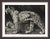 Contemporary Big Cats 2, Framed Artwork For Sale - Image 3 of 3