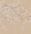 Chinese 36" * H96"/Panel * 4ps, New Chinese White Plum Meticulous Wallpaper, White Plum Wallpaper Mural, 4 Panels For Sale - Image 3 of 5