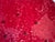 Bordallo Pinheiro Watermelon Charger Plate Watermelon Plates Platter For Sale - Image 13 of 15