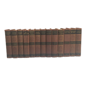Antique Charles Dickens Books - Set of 13