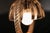 Abat-Jour Lights in Murano Glass and Brass from Barovier & Toso, 1950s, Set of 2 For Sale - Image 3 of 18