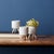 Modern Porcelain Face Planter with Wooden Legs (Set of 3) For Sale - Image 3 of 6