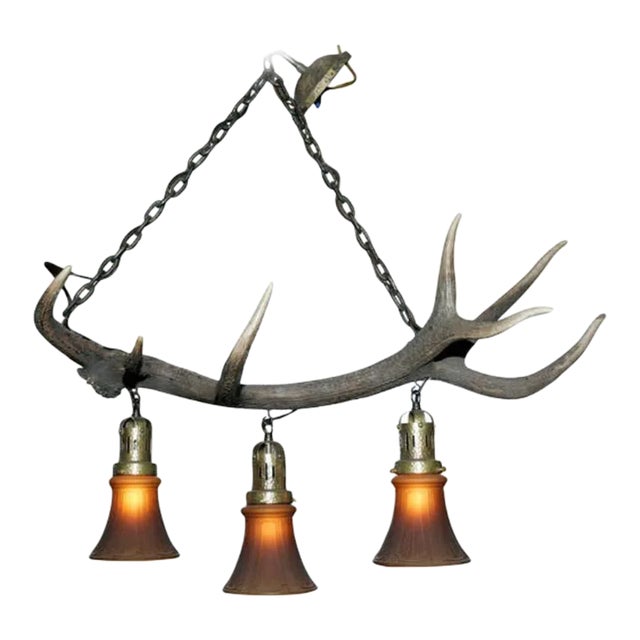 1950s Antler Chandelier With Glass Shades For Sale