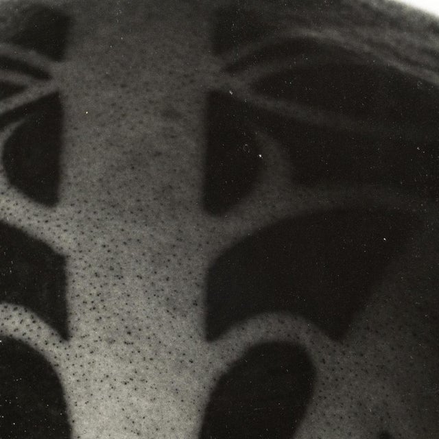 Contemporary Photography by Miquel Arnal, 1990s For Sale - Image 9 of 16