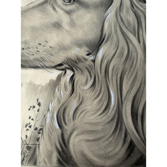 Illustration 1940s Original Signed Graphite Illustration of Sporting Dog Setter Portrait, 14 × 11 In. For Sale - Image 3 of 7