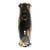 Japanned Brass 10 In. Door Plate With Keyhole For Sale