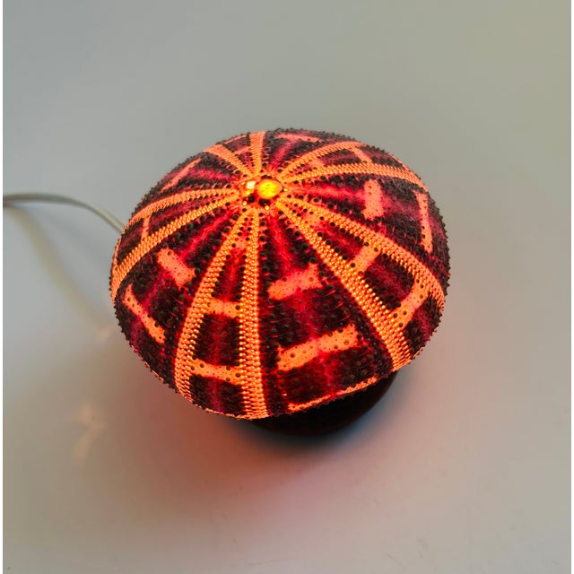 Contemporary Vintage Sea Urchin Lamp For Sale - Image 3 of 10