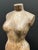 Late 20th Century Carved Solid Wood Female Torso Sculpture Late 20th Century For Sale - Image 5 of 5