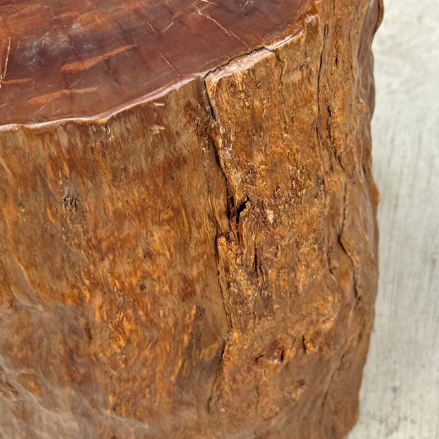 Reclaimed Tree Trunk Side Pedestal Table with Organic Shape For Sale In New York - Image 6 of 7