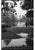 Paul Cooklin, Swans on the Vltava River, Edition of 50 For Sale - Image 7 of 7