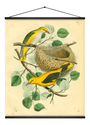 Birds & Nest Wall Hanging