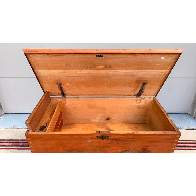 Antique Pennsylvania Two-Drawer Dower Chest, Lancaster County, Dated 1856 - "Elmina Stauffer" For Sale - Image 15 of 18