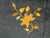 1930s Wool Large Blue Floral Medallion Rectangle Hand Knotted Pile Antique 1930s Rug For Sale - Image 5 of 8
