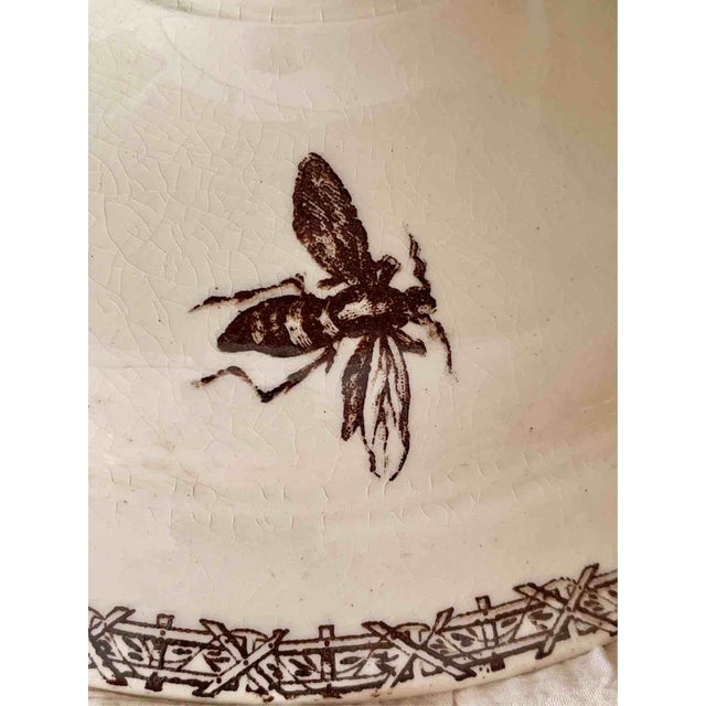 Antique Late 19th Century Terre de Fer Soup Tureen and Serving Plate with Fruit and Insect Decoration from Choisy Le Roi, Set of 2 For Sale - Image 6 of 18
