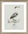 Boutique Archival William Lewin "Waterbirds & Waders" Prints - Set of 15 (8" X 10") For Sale - Image 9 of 18