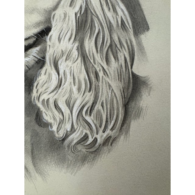 Illustration 1940s Original Signed Graphite Portrait of Cocker Spaniel Dog, 1949, 11 × 8.25 In. For Sale - Image 3 of 6