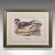 Pair of Antique Duck Pictures, Framed Wildlife Art Prints, Lithograph, Victorian For Sale - Image 4 of 12