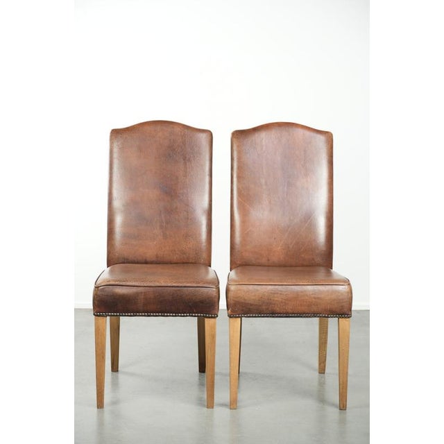 A characterful set of 6 vintage dining chairs made of sheepskin with a high back. : This set of six vintage dining chairs...