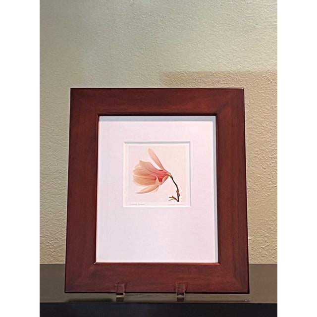 Wood Mid 20th Century Jon Olsen Signed Framed Photo Print Tuliptree Blossom Fine Art Botanical For Sale - Image 7 of 7