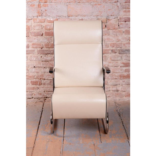 Animal Skin Bauhaus FN24 Armchairs in Leather attributed to Mücke-Melder, Czech, 1930s, Set of 2 For Sale - Image 7 of 18