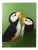 Puffin Pair Original Painting For Sale