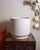 Large vintage ceramic planter by **Architectural Ceramics of Oakland, California**, retaining its impressed maker’s mark...