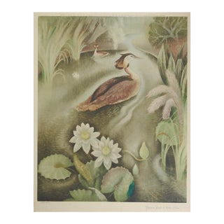 1940 Billie Walters Crested Grebe Lithograph For Sale