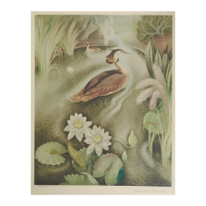1940 Billie Walters Crested Grebe Lithograph