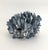 Shell Natural Blue Coral Specimen For Sale - Image 7 of 7