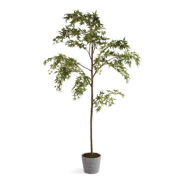 A natural wonder. Napa has the very best in permanent trees and botanicals. So realistic in form and color you, ll look...