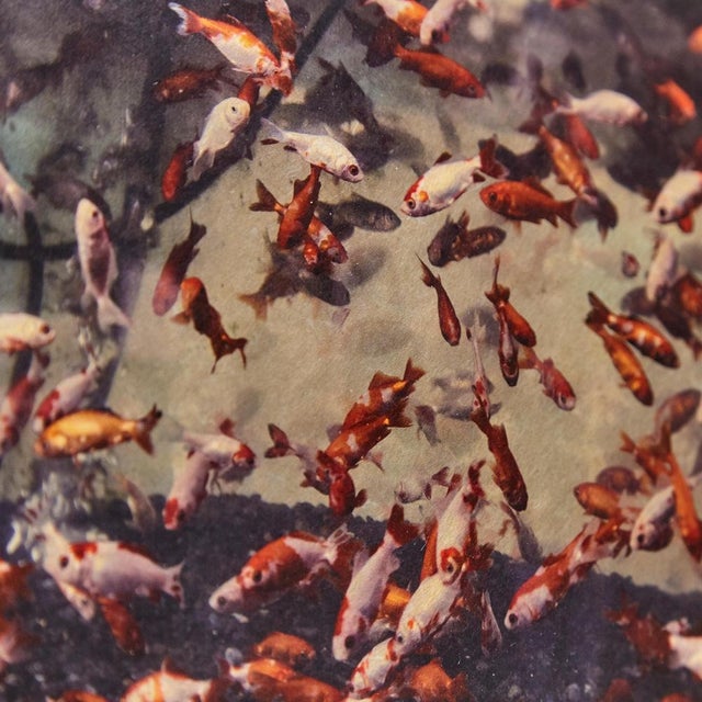 Gold Albarran & Cabrera, Image of Fish, Photograph with Gold Leaf on Japanese Paper, 2013, Framed For Sale - Image 8 of 11