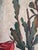 Arne Siegfried, Cactus en fleurs, Oil on Wood, Framed For Sale - Image 4 of 10