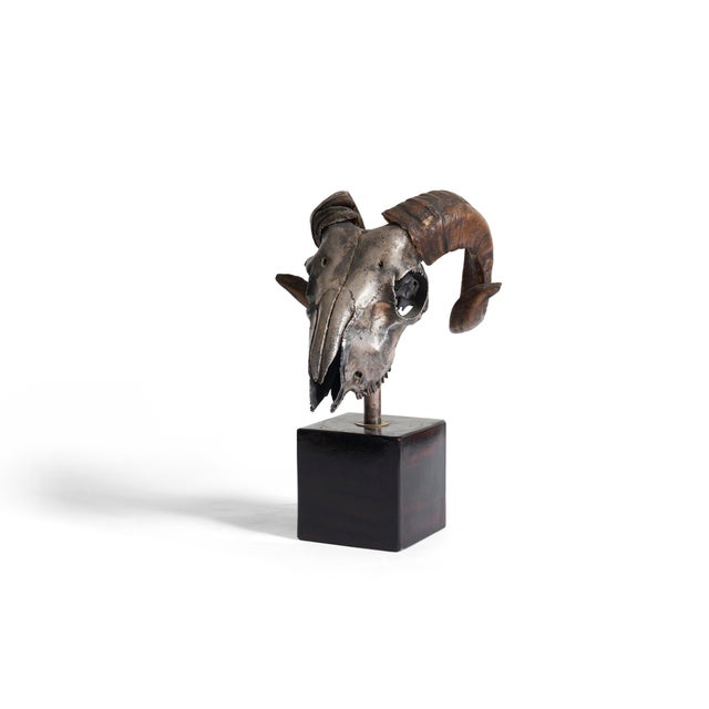 Metal Ram's Skull Silver Plated For Sale - Image 7 of 8