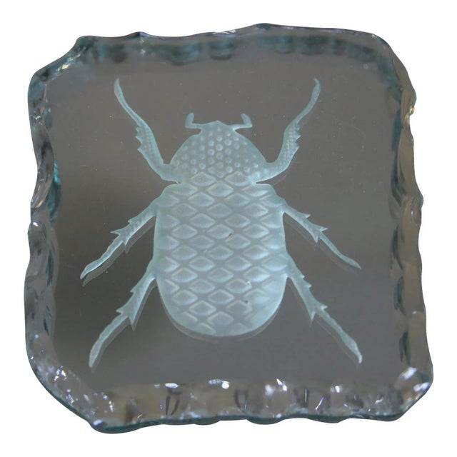 Transparent Glass Engraved Scarab Beetle Coaster For Sale - Image 8 of 12