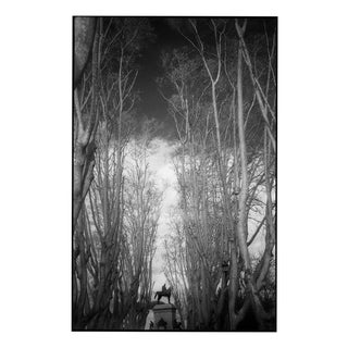 Paul Cooklin, Garibaldi Monument, Edition of 50 For Sale