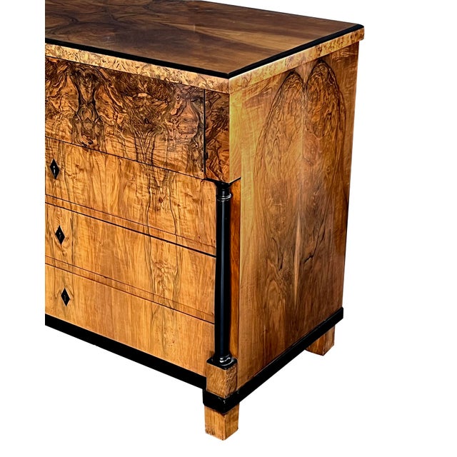 Brown German Biedermeier Black Walnut and Ebonized Chest of Drawers For Sale - Image 8 of 8