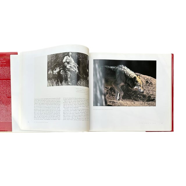 Vintage Large Centennial Hardcover Coffee Table Photography Book Two Eagles; Dos Aguilas: The Natural World of the United States-Mexico Borderlands For Sale - Image 6 of 12