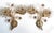 Vintage Brass Lead Crystal Wall Lamps from Palwa, 1960s, Set of 2 For Sale - Image 11 of 12