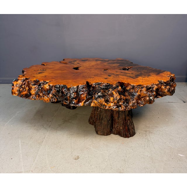 1970s Vintage 1970s California Redwood Burl Live Edge Coffee Table on Redwood Stump Base For Sale - Image 5 of 15