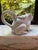 1990s White Frog Teapot For Sale - Image 5 of 5