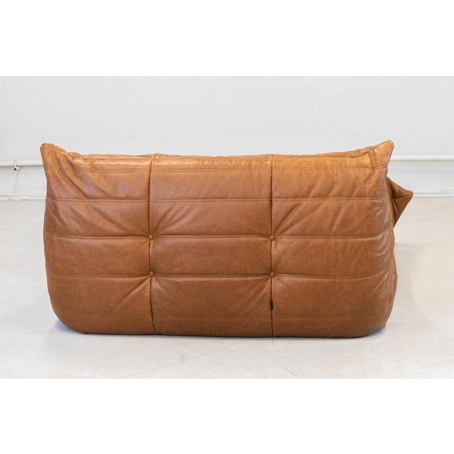 Animal Skin Togo Chaise Lounge in Pine Leather by Michel Ducaroy for Ligne Roset, 1974 For Sale - Image 7 of 18