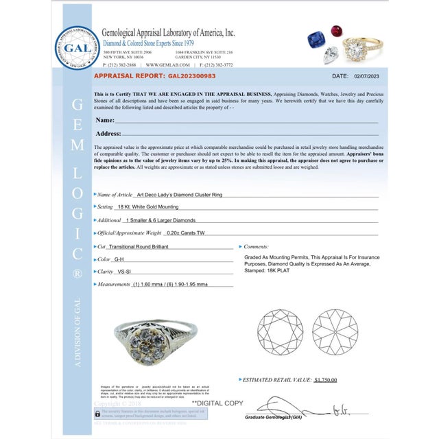 1920s Art Deco Daisy Diamond Cluster Engagement Ring in 18k White Gold Filigree — Appraised (Size 7) For Sale - Image 9 of 9