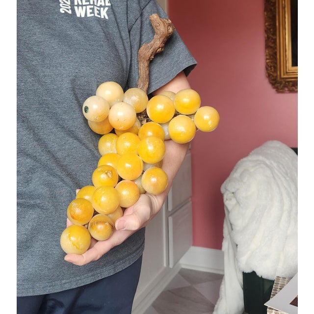 Extra Large Yellow Alabaster Grapes For Sale - Image 12 of 12
